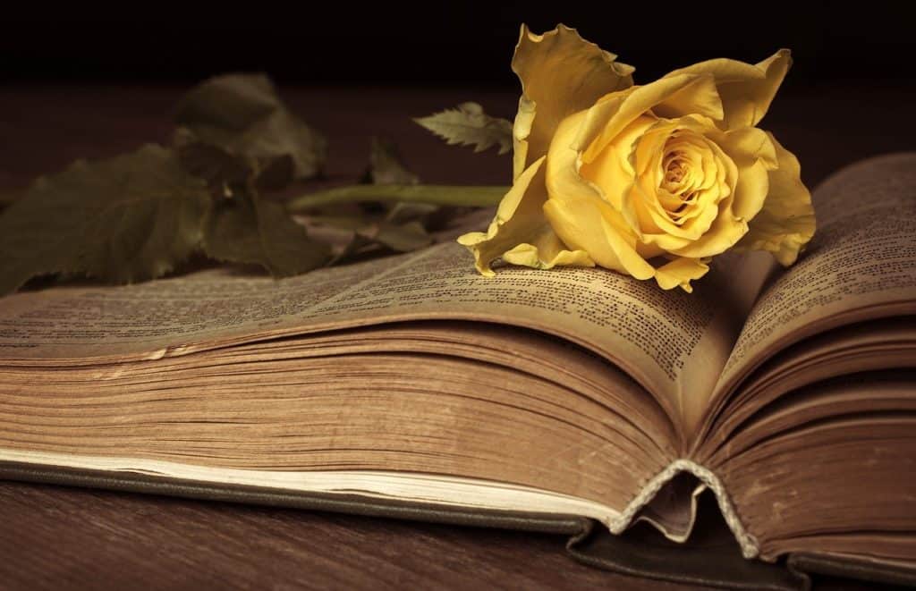 Entertainment - Books with yellow rose