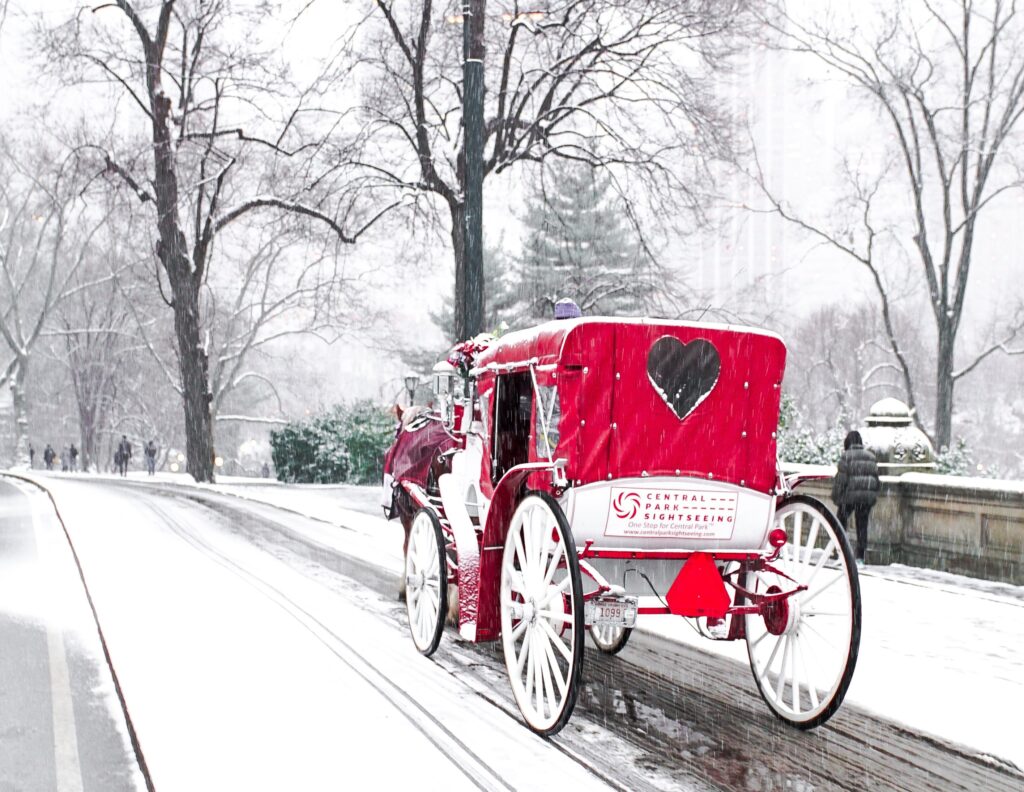 Christmas ideas carriage ride